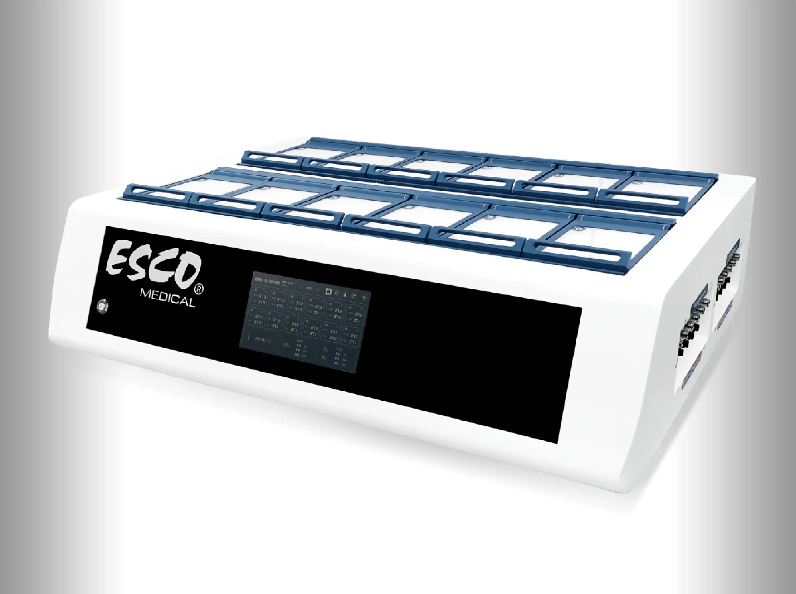 In Vitro Fertilization (IVF) | Jordan